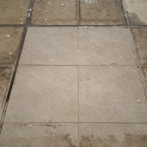 Calçada depois do Eficaz Limpa Pisos: placas centrais claras e renovadas